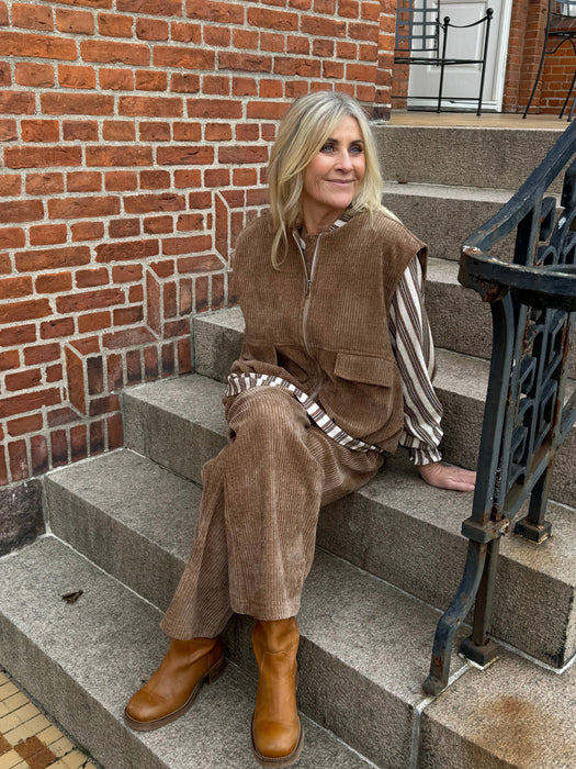 Brun vest og stribet skjorte - Brun vest og stribet skjorte