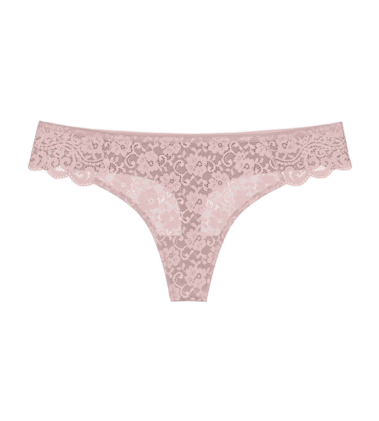 150023 | Triumph - Amourette Gammelrosa