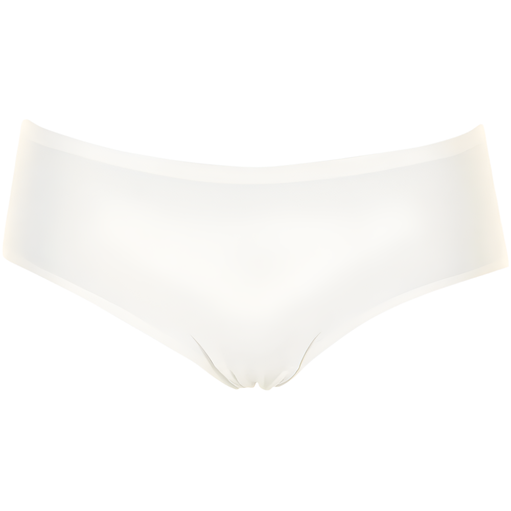 126562 | Chantelle Seamless - Soft Stretch Hipster Off-white.