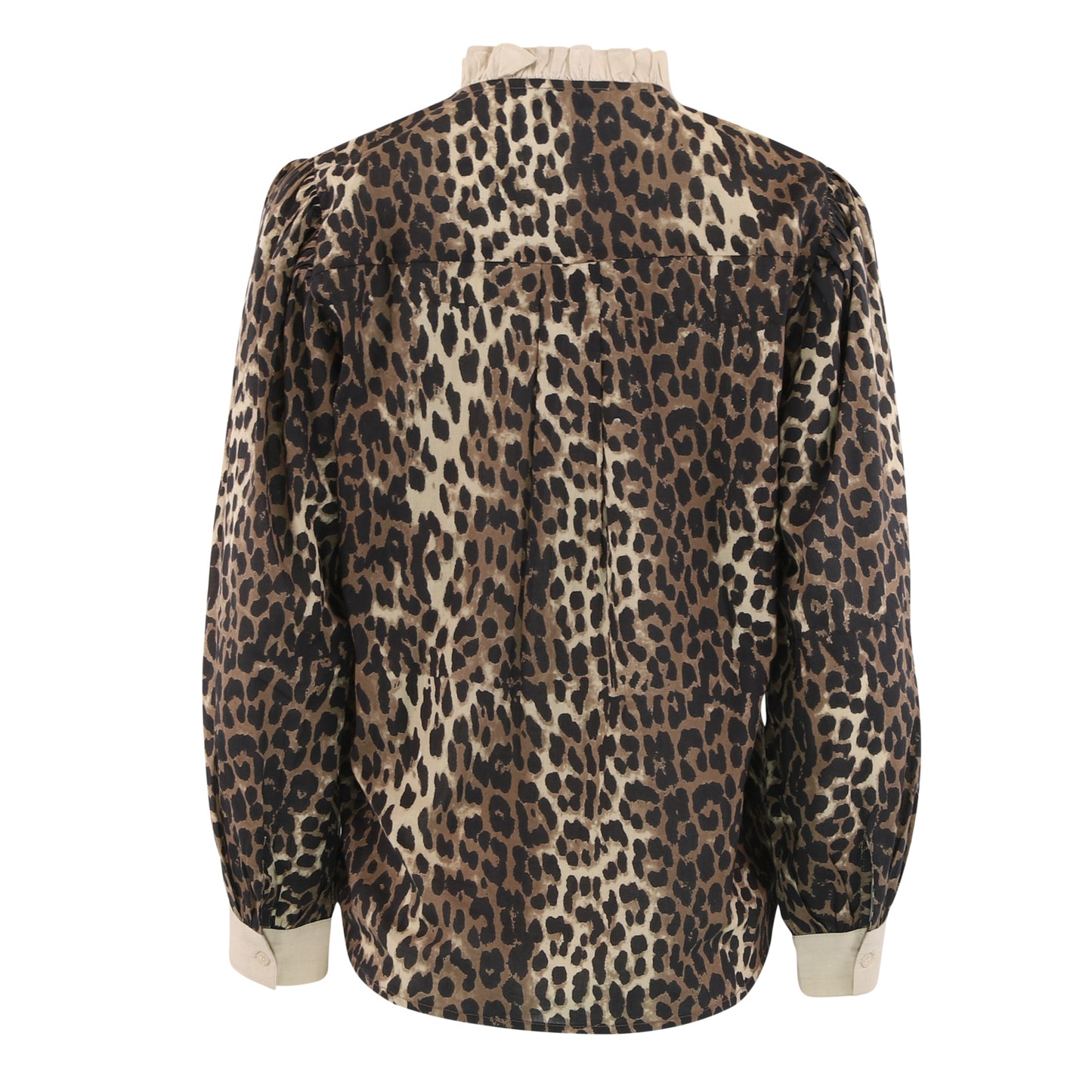 149946 | CONTINUE - Chania Leopard