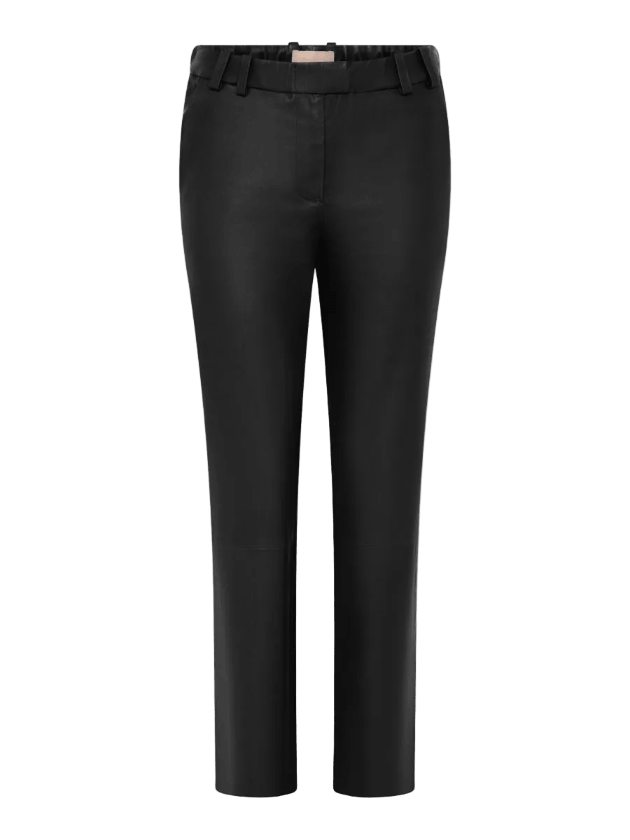 155869 | Gustav - Garth Sort