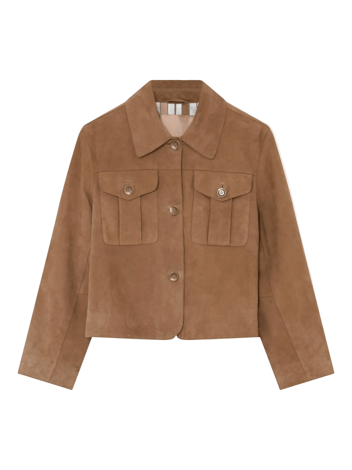 155870 | Gustav - Soho Camel
