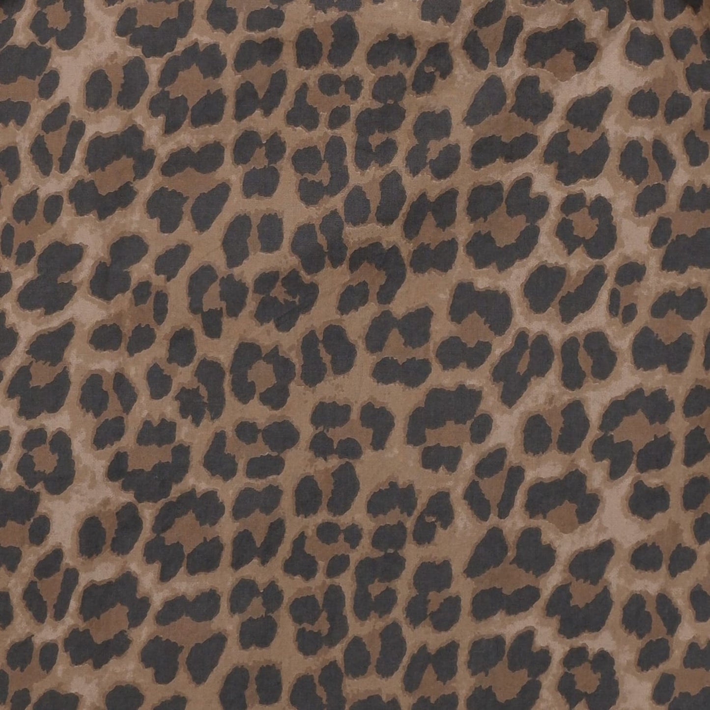 149033 | Black Colour - Abbie Leopard