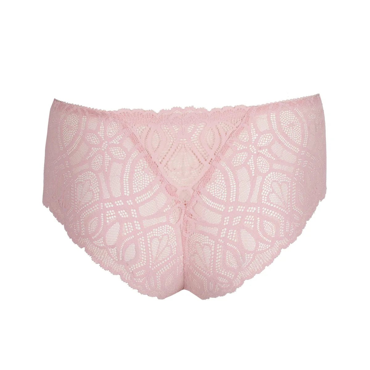 154002 | PrimaDonna - Salerno Spring Rose Lyserød