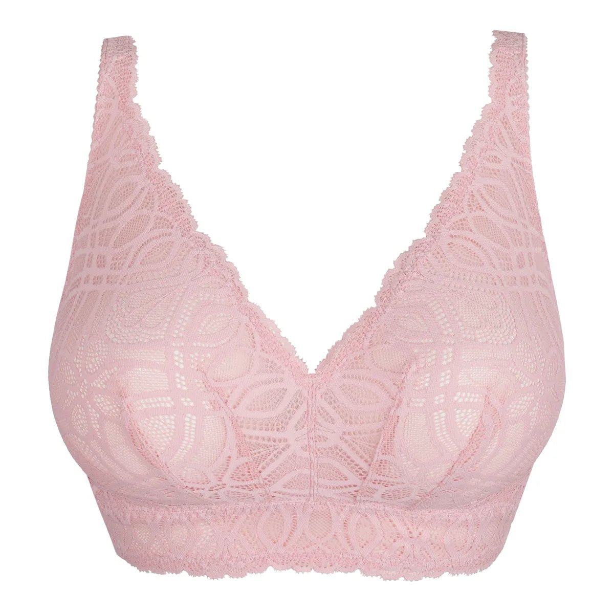 154079 | PrimaDonna - Salerno Spring Rose Lyserød