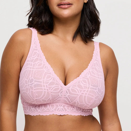 154079 | PrimaDonna - Salerno Spring Rose Lyserød