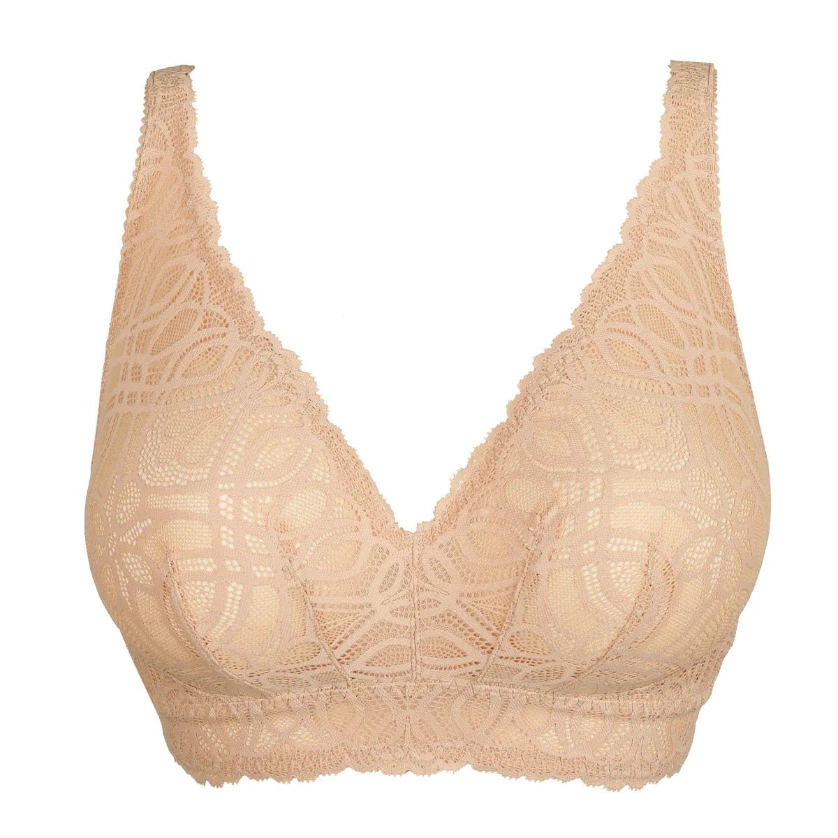 154838 | PrimaDonna - Salerno Candy Ginger Pudder