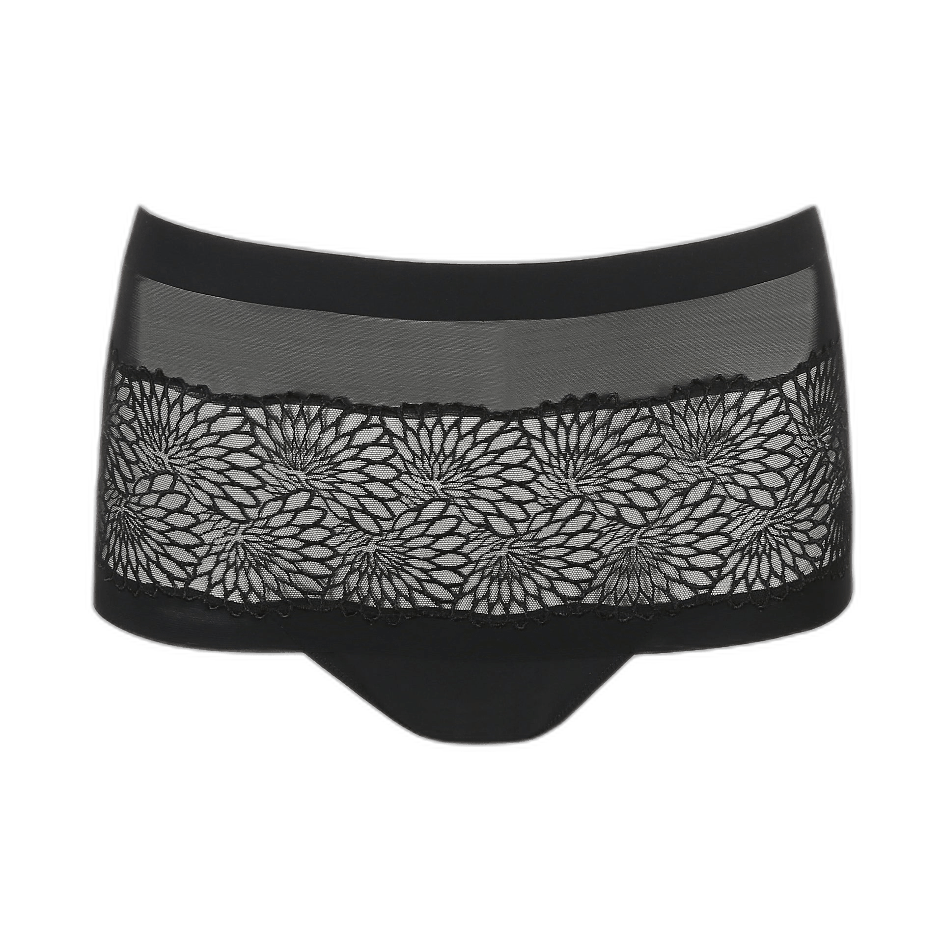 136580 | PrimaDonna - Sophora Black Sort.