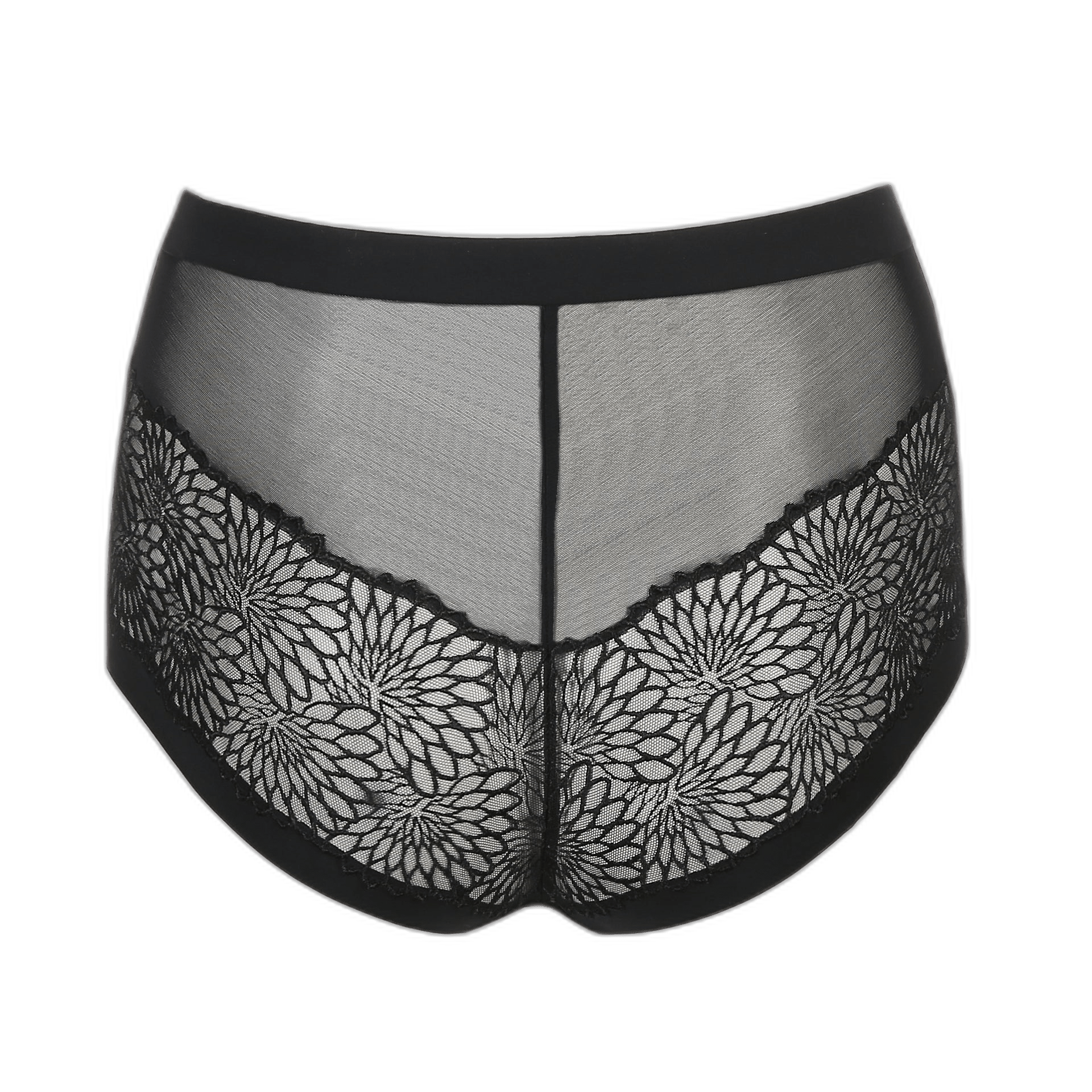 136580 | PrimaDonna - Sophora Black Sort.